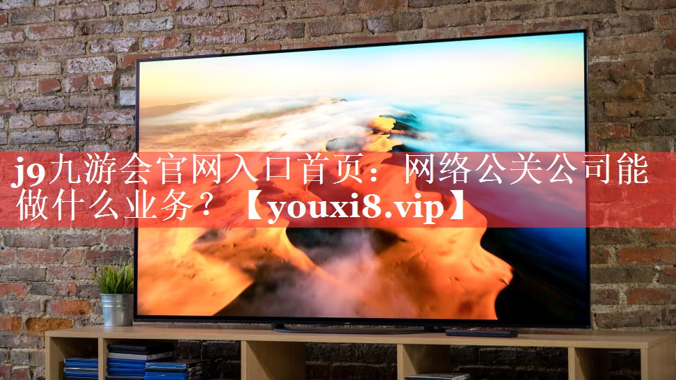 网络公关公司能做什么业务？