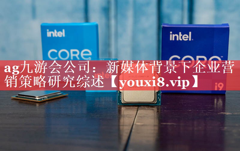 新媒体背景下企业营销策略研究综述