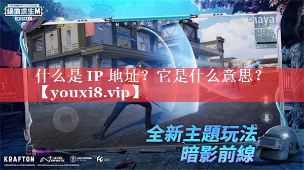 什么是 IP 地址？它是什么意思？